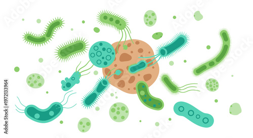 Diverse Microscopic Organisms and Bacteria Collection, Scientific Illustration