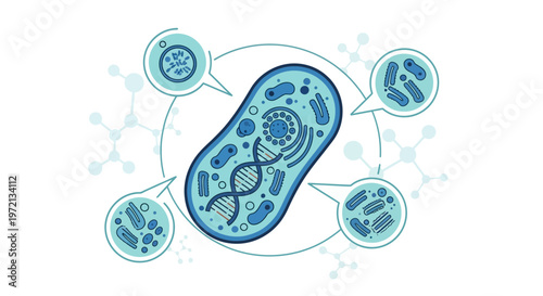 Microbiology illustration: bacterial cell with DNA and magnified views of microorganisms