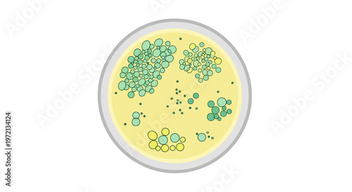 Microbiology petri dish with bacterial colonies, scientific research and culture