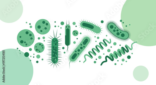 Microscopic Bacteria and Germs Collection, Diverse Shapes and Forms, Scientific Illustration