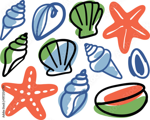Seashell and starfish collection with colorful abstract shapes on checkered transparent background.