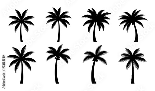 Minimal palm and coconut tree silhouettes icons clean tropical vector illustration set