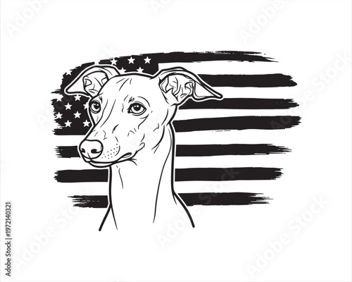 Italian Greyhound Dog with American Flag Background – Minimal Patriotic Line Art Vector Illustration