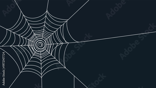 Intricate white spider web design on a dark black background for mysterious halloween spooky themes and nature study for children.