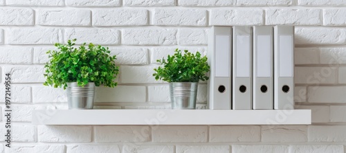 Clean White Shelf with Green Potted Plants and White Binders Against a White Brick Wall.
