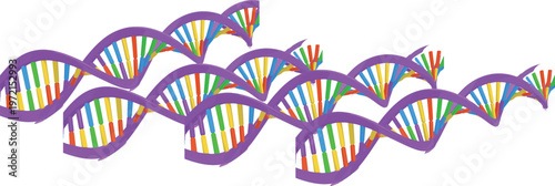 Colorful DNA double helix wave illustration representing genetics, molecular biology, genome science, biotechnology research concept with vibrant strands isolated on light background