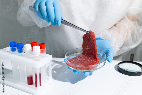 Canvastavla Scientist in protective gear examining lab-grown meat sample with tweezers over petri dish