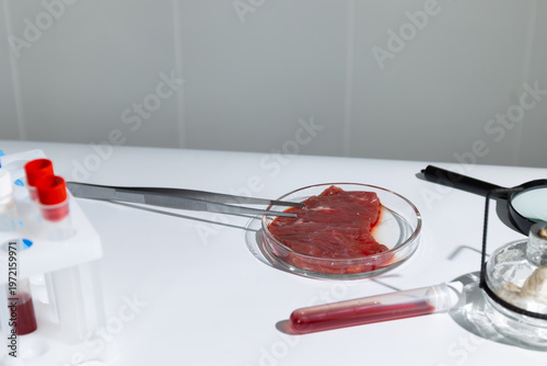 Fényképezés Lab grown meat sample in petri dish held by tweezers on white surface