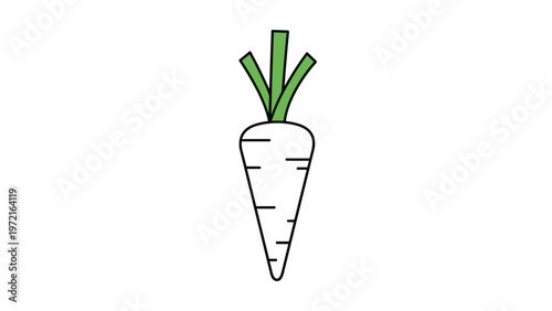Fresh white carrot with green leafy tops shown as a simple and healthy vegetable illustration on a white background.