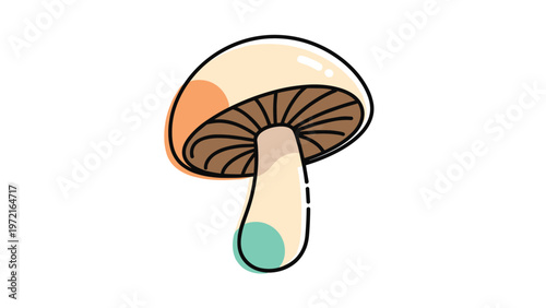 Nutritious edible mushroom with a beige cap and brown gills shown with abstract colorful circles on a clean white background.