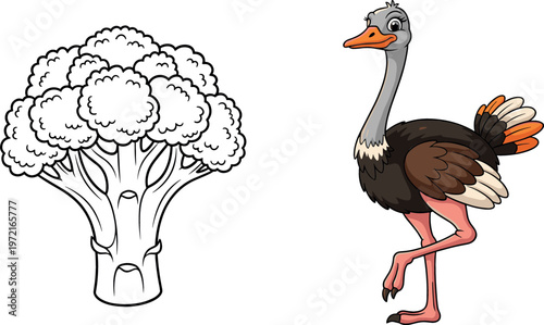 "Cartoon Broccoli and Ostrich Vector Illustration Set Featuring Detailed Animal and Plant Icons for Food, Nature, and Wildlife Designs"