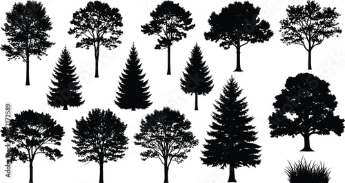 Set of black and white vector tree silhouettes, including pine, oak, spruce, and grass, isolated on a clean white background.