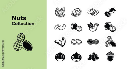 Set of black and white vector icons representing a diverse collection of healthy organic edible nuts