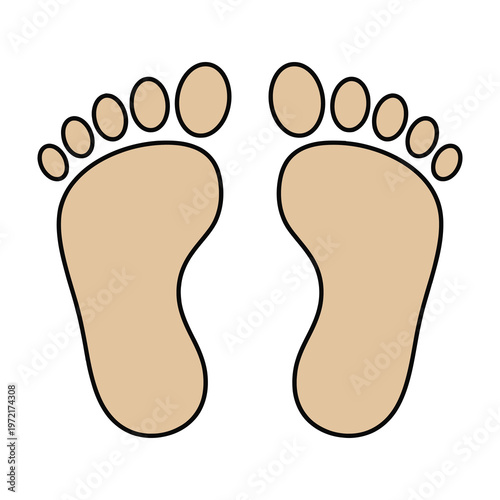 Human bare feet illustration two soles with toes pointing upwards tan color