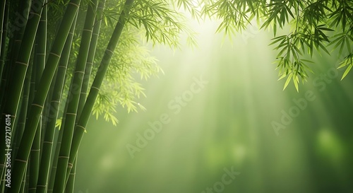 Serene bamboo forest bathed in ethereal sunbeams creating a tranquil and peaceful natural ambiance