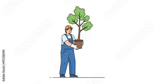Male landscaper in blue overalls and a hard hat carefully carrying a large potted green tree for planting in a garden.