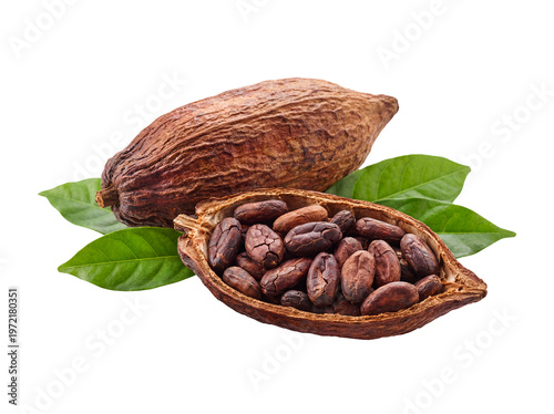 Cocoa Pod and Cocoa Beans Isolated on Transparent Background