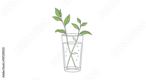 Simple line art drawing of green plant stem cuttings with leaves placed in a glass of water for propagation on white.