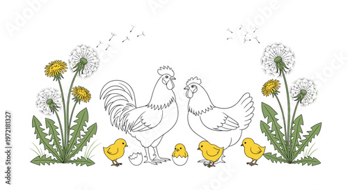 Charming line art illustration of a rooster and hen surrounded by small yellow chicks and blooming dandelions in a field.