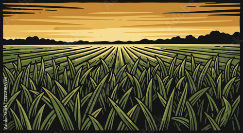 Sunset over cornfield with clouds and rows of crops in retro woodcut style