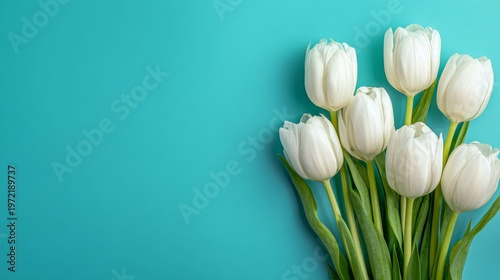 White tulip flower bouquet on blue background, spring floral arrangement for Women's Day, Mother's Day, birthday or wedding gift, bright seasonal flowers, beauty concept and decorative banner design