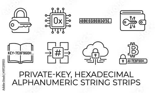 Private key security icons and cryptocurrency elements like wallet, ledger, and hexadecimal strings