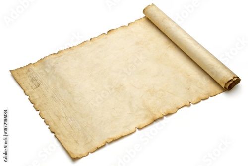 Large sheet of aged parchment partially rolled up, showing texture and antique details