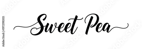 Sweet Pea. lettering and all elements in black. Vector style. AWhite background. Pure white background. Perfect isolation and visual consistency. Elegant