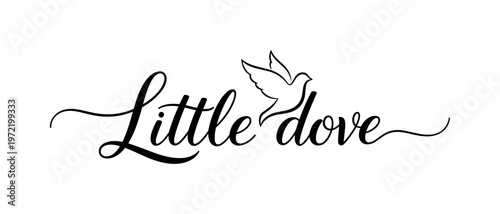 Little dove. lettering and all elements in black. Vector style. AWhite background. Pure white background. Perfect isolation and visual consistency. Elegant