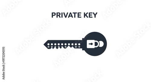 Illustration of a digital private key, representing security and access to cryptocurrency or sensitive data