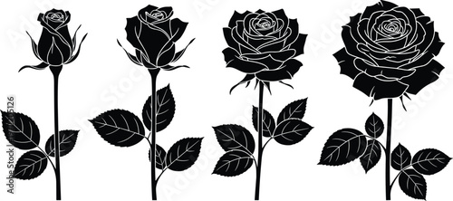 Black silhouette collection of rose flowers showing growth stages from bud to bloom representing romance love nature beauty botanical decoration tattoo floral