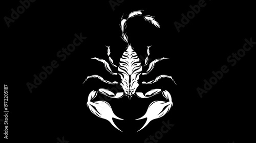 Stylized white scorpion on a black background. Detailed illustration of the arachnid's form, and pincers