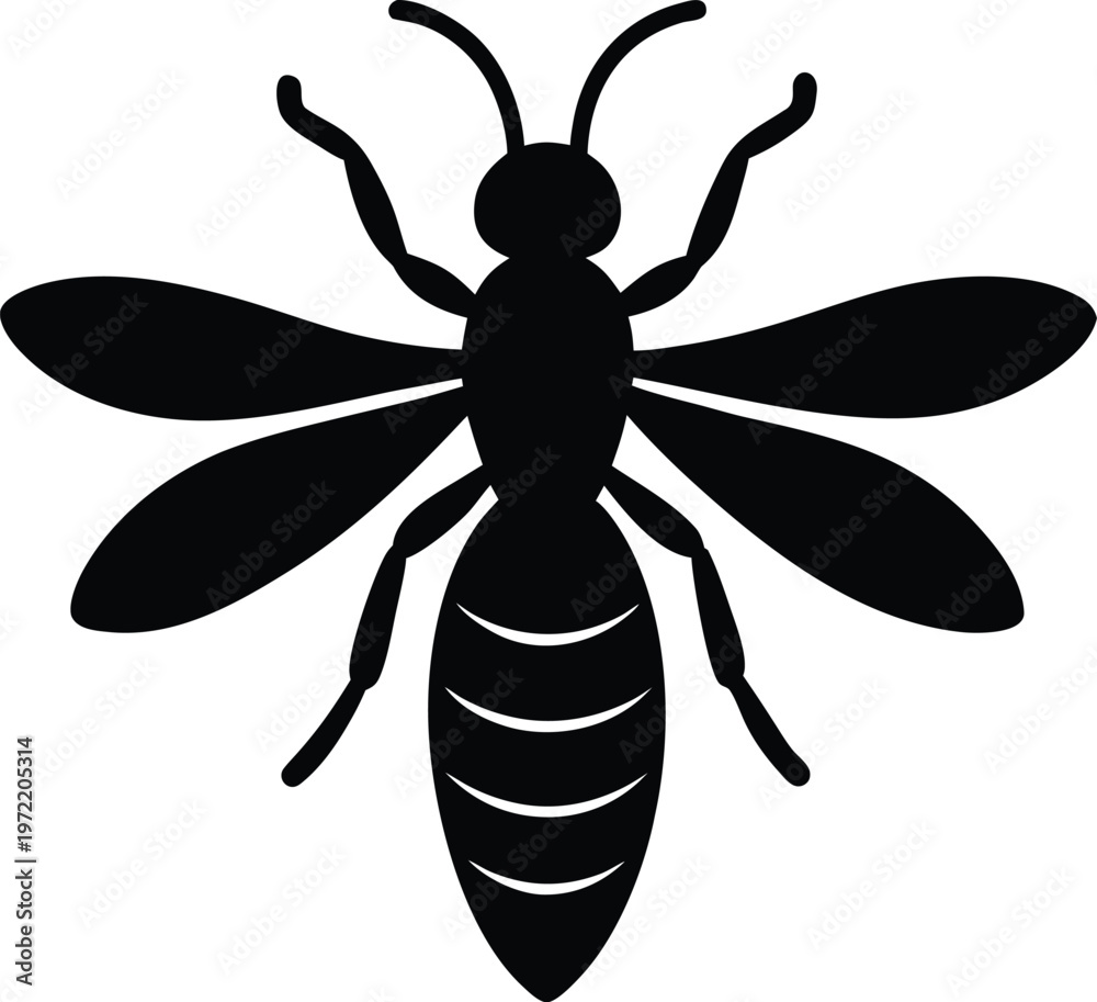 Fototapeta premium Wasp silhouette vector art Illustration