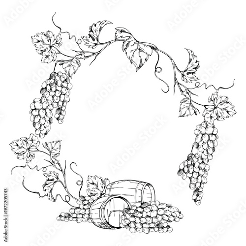 Arched grapevine with ripe berry bunches, leaves and new creepers over wine barrel kegs for storage. Wreath frame vector illustration hand drawn in ink. Wine tasting notebooks, festivals, stationery