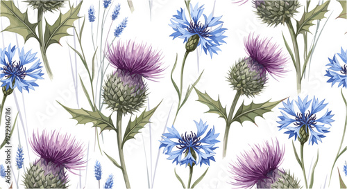 Seamless floral pattern with thistles and cornflowers, botanical illustration, summer wildflowers.
