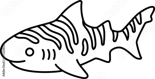 Zebra shark shark fish ocean marine sea wildlife underwater minimal line