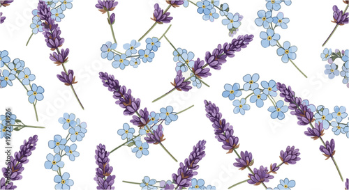 Seamless pattern with violet lavender flower and forget-me-not flower vector on transparent background.