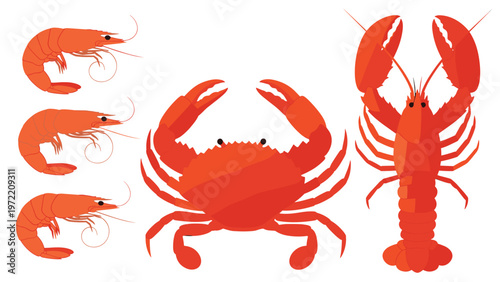 Seafood assortment including red cooked shrimp, a large crab, and a lobster isolated on a plain white background for culinary use.