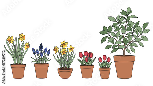 Row of diverse green plants and colorful spring flowers in clay pots are displayed in a clean linear arrangement for home garden concepts.