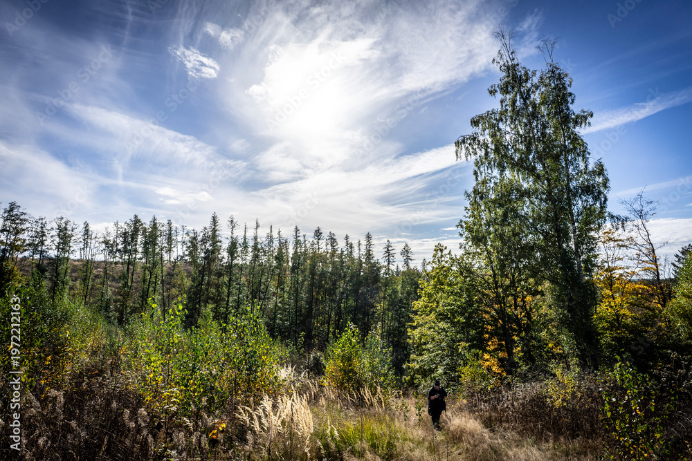 Ταπετσαρία Landschaft bei Güntersberge im Harz mit Wald und Himmel