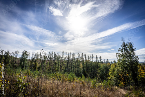 Obraz na płótnie Landschaft bei Güntersberge im Harz mit Wald und Himmel 2