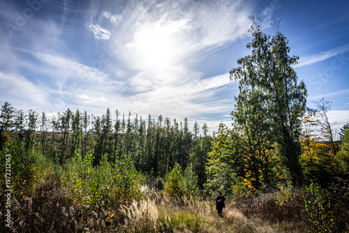 Εκτύπωση καμβά Landschaft bei Güntersberge im Harz mit Wald und Himmel