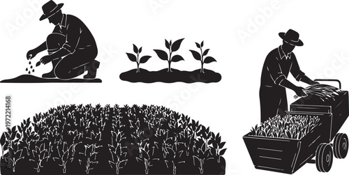 Farmer planting seeds in field with silhouettes of growth stages