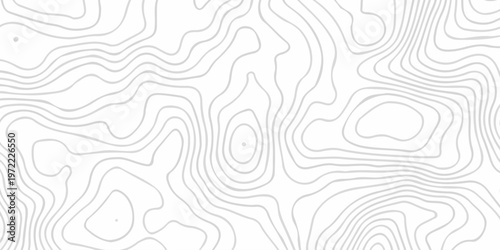 Abstract pattern with lines . Abstract Vector geographic contour map and topographic contours map background. Abstract white pattern topography vector background. Topographic line map background.