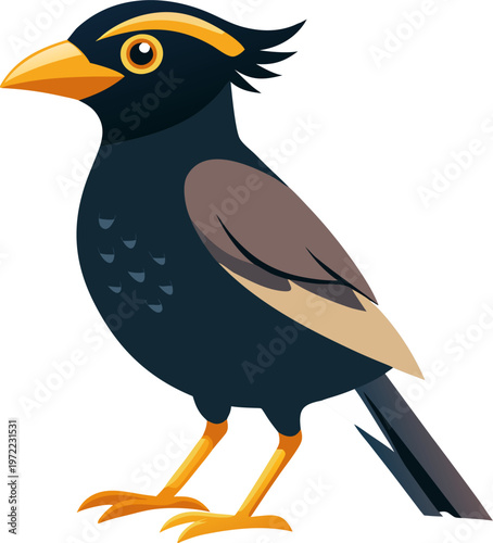 Mynah bird
