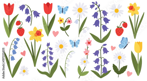 Spring flowers and butterflies collection
