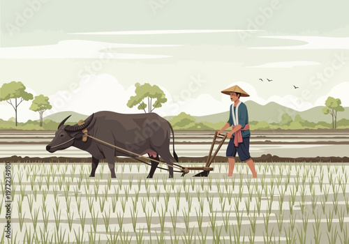 田んぼで牛を引きながら稲を育てる農夫のイラストです。
