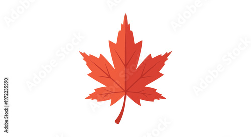 赤色のカエデの葉が中央に配置されているシンプルなデザインです。