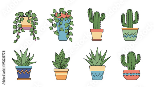 Diverse collection of eight different indoor potted plants including various cacti, succulents, and leafy varieties in colorful pots.