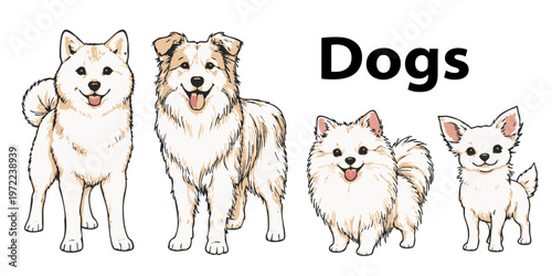 Cute dog characters set, line art illustration for coloring page (Shiba Inu, Border Collie, Pomeranian, Chihuahua) / 犬のキャラクターセット 線画 イラスト 塗り絵用（柴犬、ボーダーコリー、ポメラニアン、チワワ・カラー）